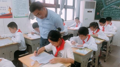 督導清風入校來，指導發展潤無聲——東臺創新小學迎雛陽投資與創新教育集團綜合督導記